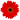 Flower_01