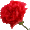 Flower_05