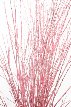 Red Glittered Birch Branches